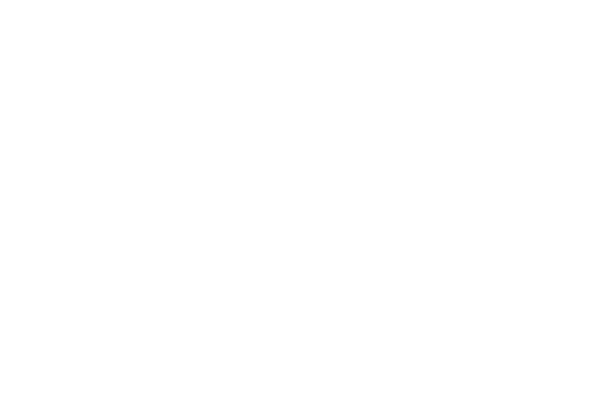 Bmw group