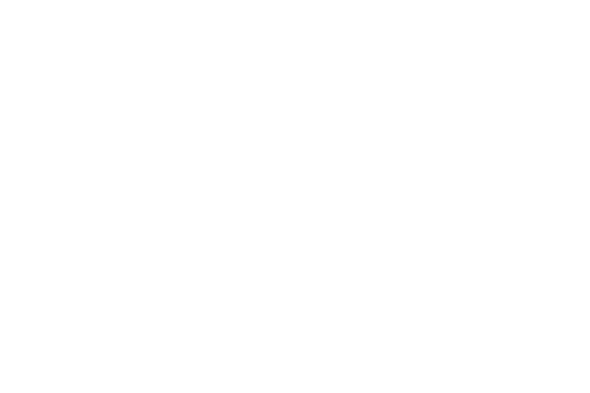 Giesecke devrient