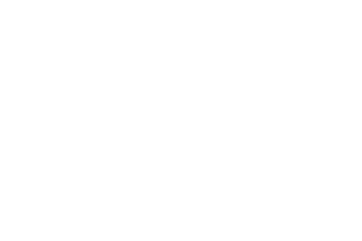 Nemetschek group