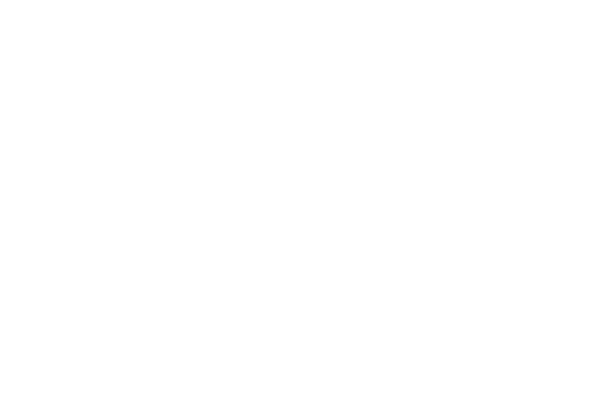 AMD Silo AI